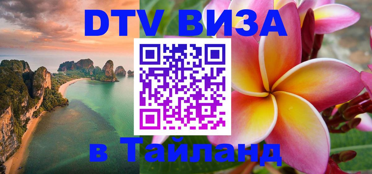 Оформление DTV визы под ключ: стоимость и тарифы, только загранпаспорт - 08.01.2026 